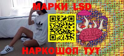 хмурый Новозыбков
