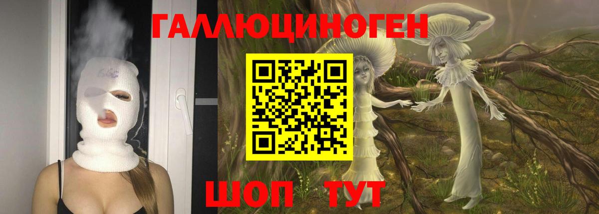 Галлюциногенные грибы мухоморы  Вход с VPN  Реж 